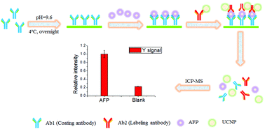 Graphical abstract: Upconversion nanoparticle as elemental tag for the determination of alpha-fetoprotein in human serum by inductively coupled plasma mass spectrometry