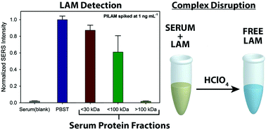 Graphical abstract: Importance of specimen pretreatment for the low-level detection of mycobacterial lipoarabinomannan in human serum