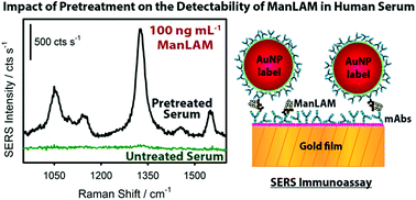 Graphical abstract: Detection of the tuberculosis antigenic marker mannose-capped lipoarabinomannan in pretreated serum by surface-enhanced Raman scattering