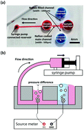 Graphical abstract: Ion concentration polarization for pre-concentration of biological samples without pH change