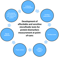 Graphical abstract: A critical insight into the development pipeline of microfluidic immunoassay devices for the sensitive quantitation of protein biomarkers at the point of care