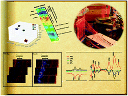 Graphical abstract: Retinal oxidative stress at the onset of diabetes determined by synchrotron FTIR widefield imaging: towards diabetes pathogenesis