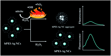 Graphical abstract: Silver nanoclusters as fluorescent nanosensors for selective and sensitive nitrite detection