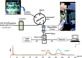 Graphical abstract: Development of a low pressure chromatographic flow system for monitoring the biodegradation of ofloxacin and ciprofloxacin