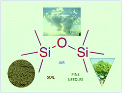 Graphical abstract: Solvent-saving approaches for the extraction of siloxanes from pine needles, soils and passive air samplers