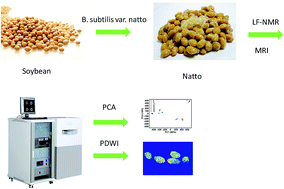 Graphical abstract: Monitoring a typical fermentation process of natto by low-field nuclear magnetic resonance (LF-NMR) and magnetic resonance imaging (MRI) techniques