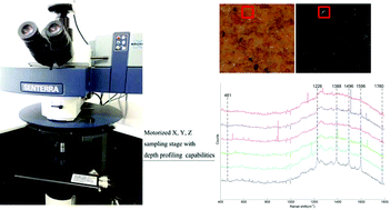 Graphical abstract: Determination of Sudan I in duck feed by microscopic image processing and confocal Raman spectroscopy