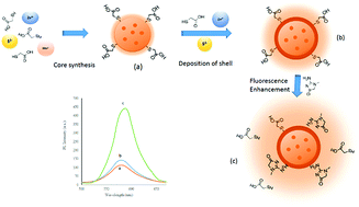 Graphical abstract: A quantum dot-based fluorescence sensor for sensitive and enzymeless detection of creatinine