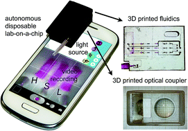 Graphical abstract: A 3D printed device for quantitative enzymatic detection using cell phones