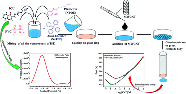 Graphical abstract: MWCNT incorporated imine–amine ionophore for electrochemical sensing of copper ions