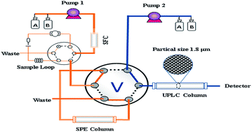 Graphical abstract: An automatic and sensitive method for simultaneous determination of sixteen polycyclic aromatic hydrocarbons and four derivatives by online solid-phase extraction coupled with ultra-high performance liquid chromatography with online solvent filtration