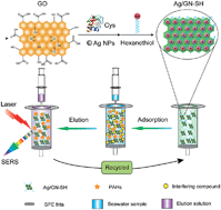 Graphical abstract: Simultaneous preconcentration and ultrasensitive on-site SERS detection of polycyclic aromatic hydrocarbons in seawater using hexanethiol-modified silver decorated graphene nanomaterials