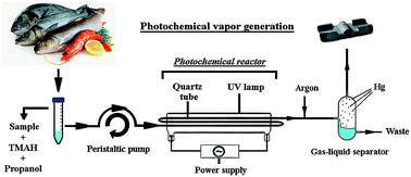 Graphical abstract: Determination of mercury in fish by photochemical vapor generation graphite furnace atomic absorption spectrometry