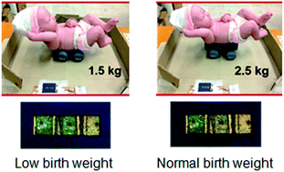 Graphical abstract: A balance-in-a-box: an integrated paper-based weighing balance for infant birth weight determination