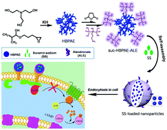 Graphical abstract: Inhibition of fibrous dysplasia via blocking Gsα with suramin sodium loaded with an alendronate-conjugated polymeric drug delivery system