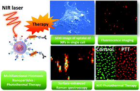 Graphical abstract: Near-infrared photothermal therapy of Prussian-blue-functionalized lanthanide-ion-doped inorganic/plasmonic multifunctional nanostructures for the selective targeting of HER2-expressing breast cancer cells