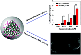 Graphical abstract: Immobilization of iron oxide nanoparticles within alginate nanogels for enhanced MR imaging applications