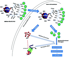 Graphical abstract: Combined bortezomib-based chemotherapy and p53 gene therapy using hollow mesoporous silica nanospheres for p53 mutant non-small cell lung cancer treatment