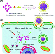 Graphical abstract: Intracellular GSH-activated galactoside photosensitizers for targeted photodynamic therapy and chemotherapy