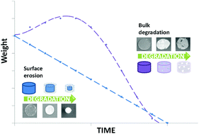 Graphical abstract: Synthesis, properties and biomedical applications of hydrolytically degradable materials based on aliphatic polyesters and polycarbonates