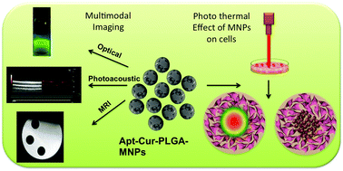 Graphical abstract: Highly versatile SPION encapsulated PLGA nanoparticles as photothermal ablators of cancer cells and as multimodal imaging agents