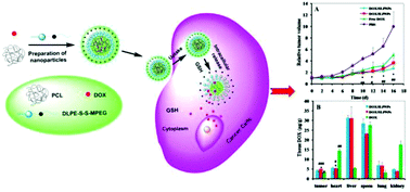 Graphical abstract: Two-component reduction-sensitive lipid–polymer hybrid nanoparticles for triggered drug release and enhanced in vitro and in vivo anti-tumor efficacy