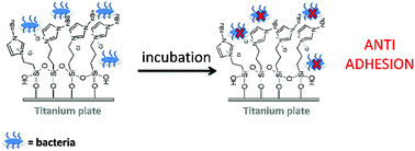 Graphical abstract: Imidazolium-based titanium substrates against bacterial colonization