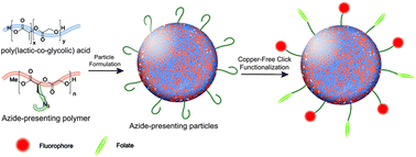 Graphical abstract: Biorthogonal click chemistry on poly(lactic-co-glycolic acid)-polymeric particles