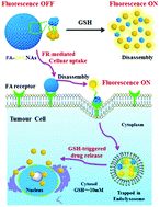 Graphical abstract: Rapidly cell-penetrating and reductive milieu-responsive nanoaggregates assembled from an amphiphilic folate-camptothecin prodrug for enhanced drug delivery and controlled release