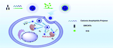 Graphical abstract: Facile construction of mitochondria-targeting nanoparticles for enhanced phototherapeutic effects