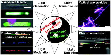 Graphical abstract: Organic nanophotonic materials: the relationship between excited-state processes and photonic performances