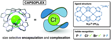 Graphical abstract: Capsoplexes: encapsulating complexes via guest recognition