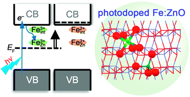 Graphical abstract: Electron trapping on Fe3+ sites in photodoped ZnO colloidal nanocrystals