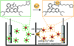 Graphical abstract: Evidence of single-nanoparticle translocation through a solid-state nanopore by plasmon resonance energy transfer