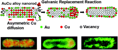 Graphical abstract: An unconventional mechanism of hollow nanorod formation: asymmetric Cu diffusion in Au–Cu alloy nanorods during galvanic replacement reaction