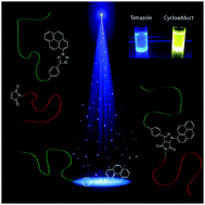 Graphical abstract: Catalyst free visible light induced cycloaddition as an avenue for polymer ligation