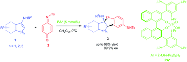 Graphical abstract: Highly enantioselective [3+2] coupling of cyclic enamides with quinone monoimines promoted by a chiral phosphoric acid