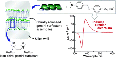 Graphical abstract: Memorized chiral arrangement of gemini surfactant assemblies in nanometric hybrid organic–silica helices