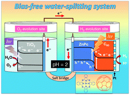 Graphical abstract: A water splitting system using an organo-photocathode and titanium dioxide photoanode capable of bias-free H2 and O2 evolution