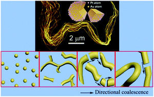 Graphical abstract: Directional coalescence growth of ultralong Au93Pt7 alloy nanowires and their superior electrocatalytic performance in ethanol oxidation