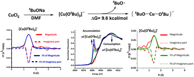 Graphical abstract: Homolytic cleavage of the O–Cu(ii) bond: XAFS and EPR spectroscopy evidence for one electron reduction of Cu(ii) to Cu(i)