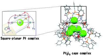 Graphical abstract: Tetrahedral cage complex with planar vertices: selective synthesis of Pt4L6 cage complexes involving hydrogen bonds driven by halide binding