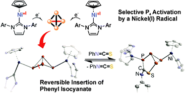 Graphical abstract: Insertion of phenyl isothiocyanate into a P–P bond of a nickel-substituted bicyclo[1.1.0]tetraphosphabutane