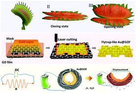 Graphical abstract: An electrically controllable all-solid-state Au@graphene oxide actuator
