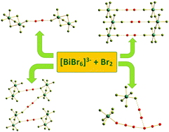 Graphical abstract: Bi(iii) polybromides: a new chapter in coordination chemistry of bismuth