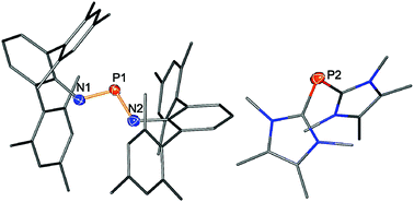 Graphical abstract: On the behaviour of biradicaloid [P(μ-NTer)]2 towards Lewis acids and bases