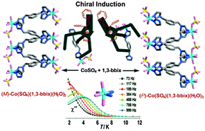 Graphical abstract: Enantiopure phosphonic acids as chiral inducers: homochiral crystallization of cobalt coordination polymers showing field-induced slow magnetization relaxation