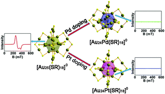 Graphical abstract: Structures and magnetism of mono-palladium and mono-platinum doped Au25(PET)18 nanoclusters