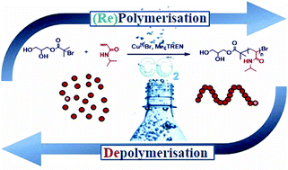 Graphical abstract: Controlled aqueous polymerization of acrylamides and acrylates and “in situ” depolymerization in the presence of dissolved CO2