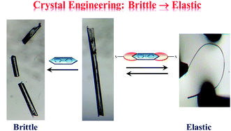 Graphical abstract: Using structural modularity in cocrystals to engineer properties: elasticity